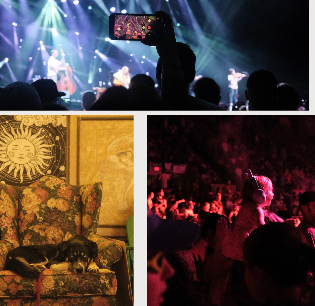Live music photography by Ellen Chambers